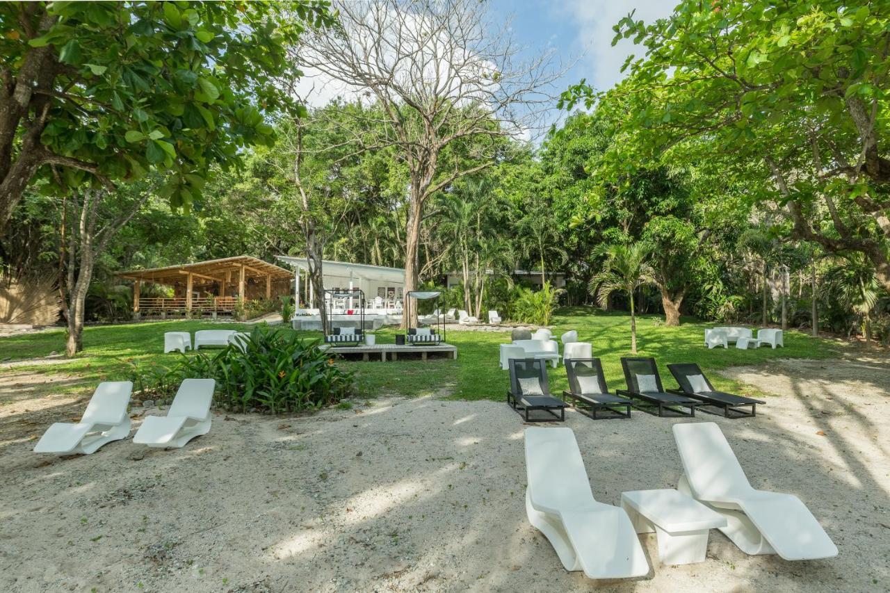 Gigi Brown Beachfront Santa Teresa Malpais Buitenkant foto